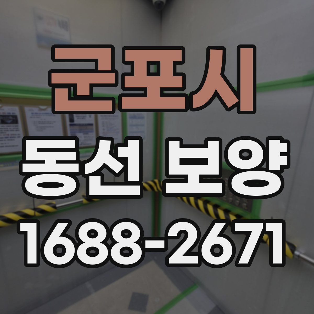 군포시 동선 보양 관련 문의 전 준비하면 좋은 정보