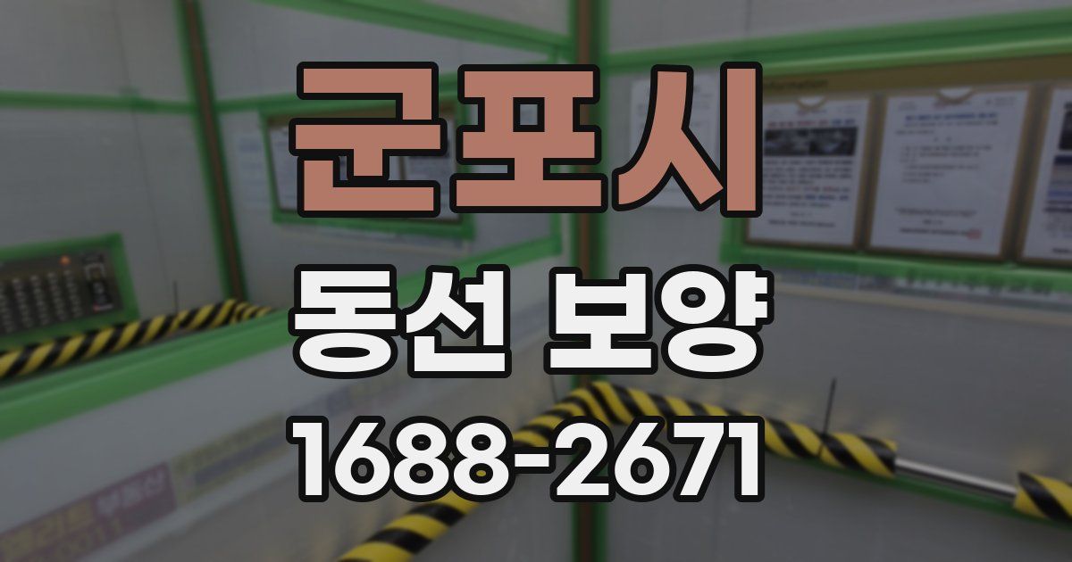 군포시 동선 보양
