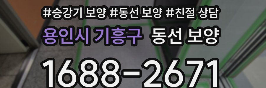 용인시 기흥구 동선 보양