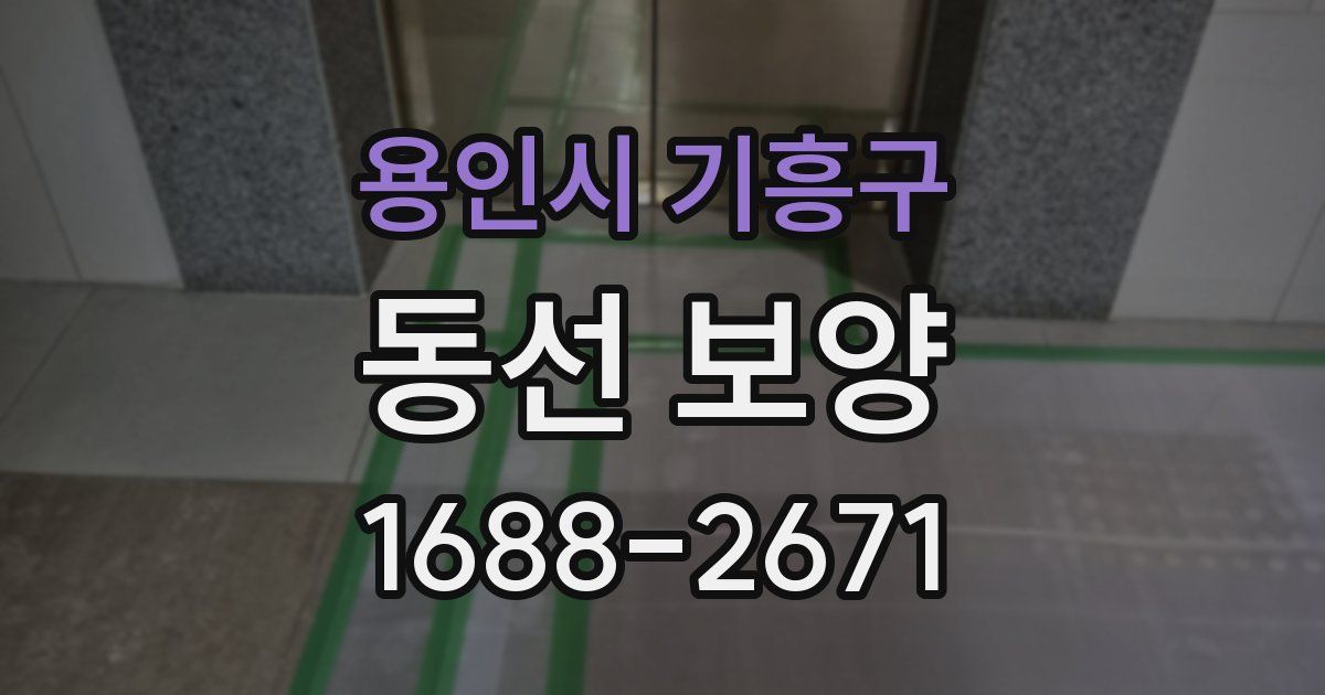 용인시 기흥구 동선 보양