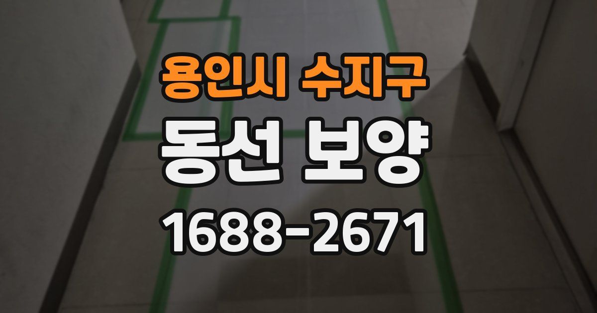용인시 수지구 동선 보양