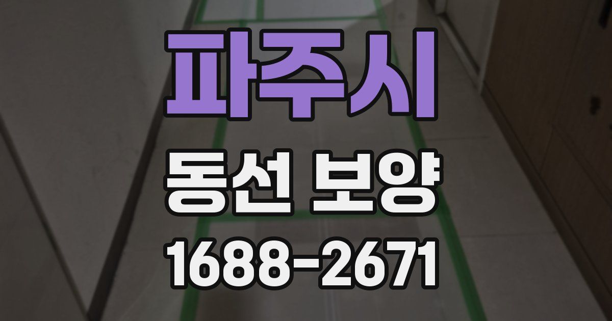 파주시 동선 보양