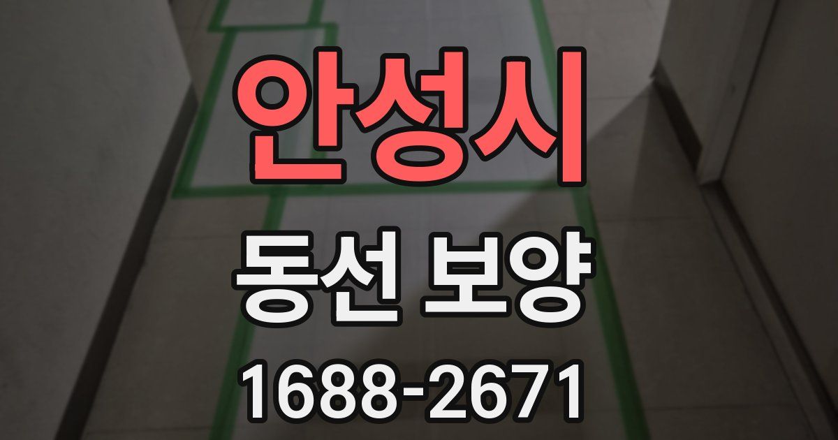 안성시 동선 보양