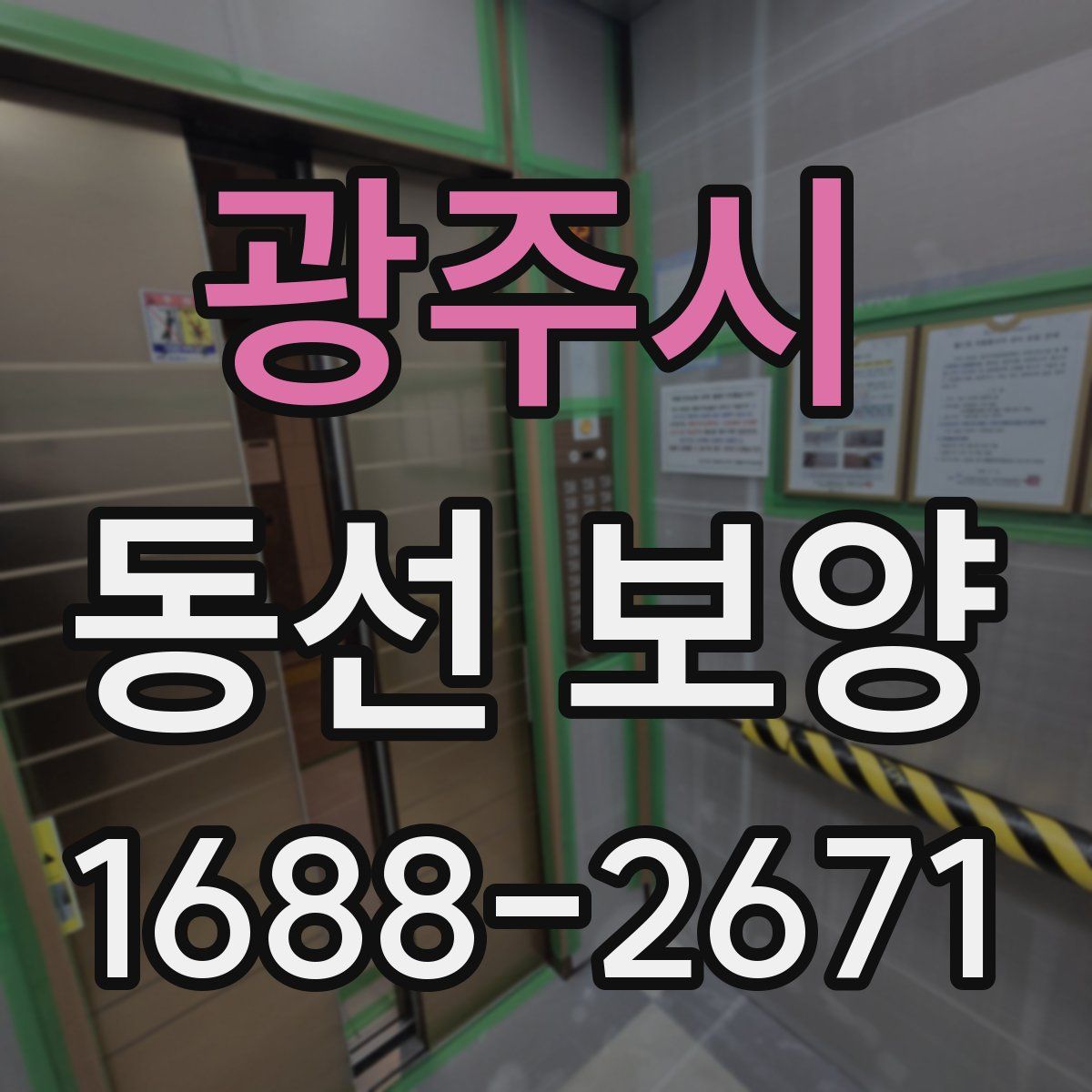 광주시 동선 보양