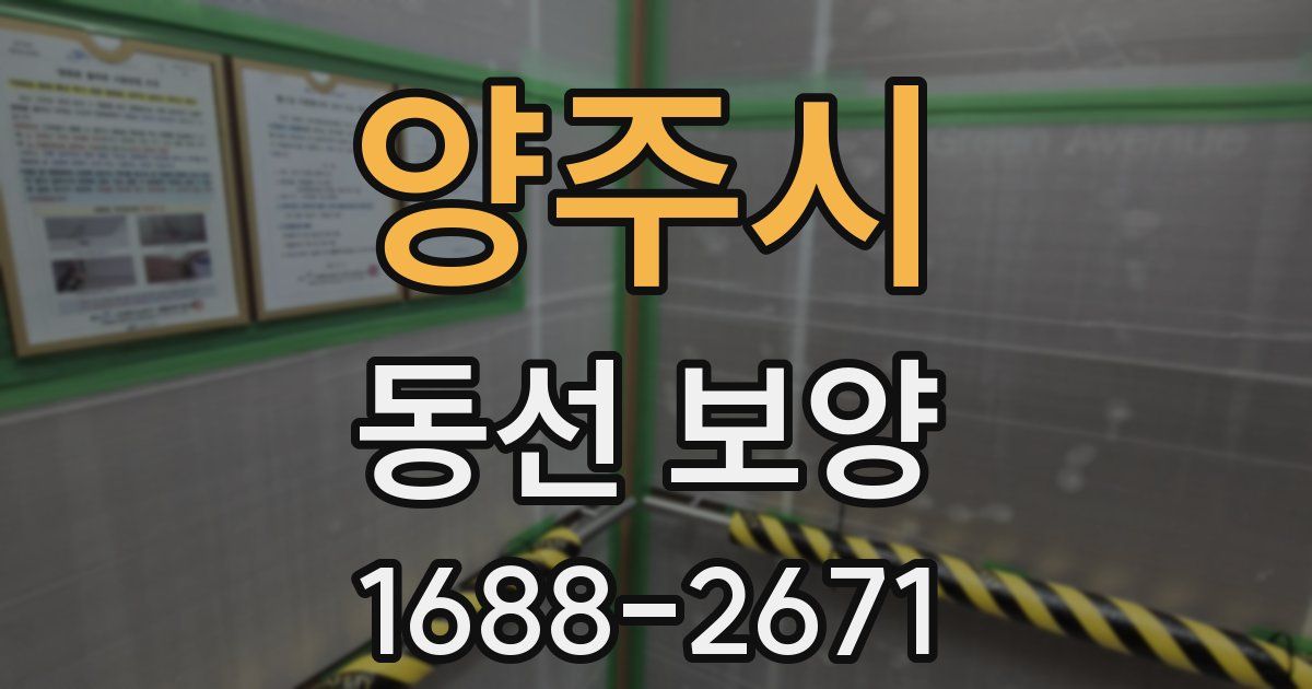 양주시 동선 보양