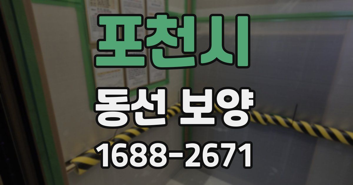 포천시 동선 보양