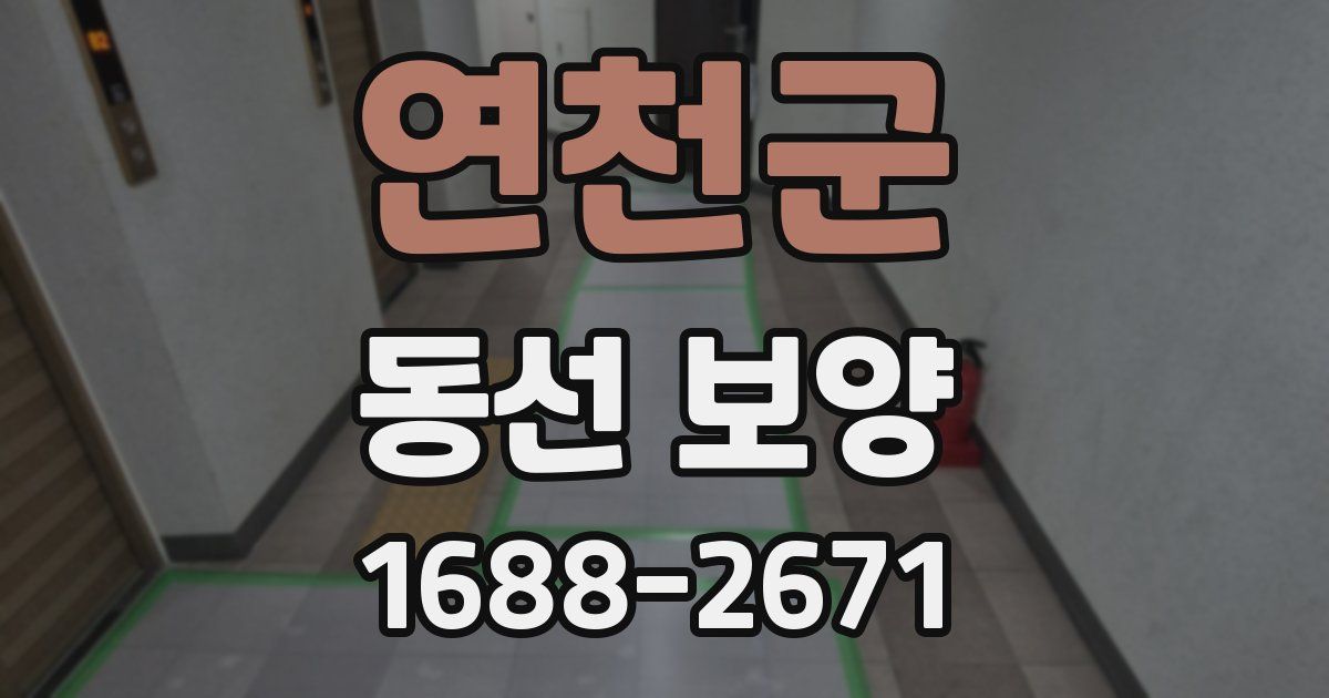 연천군 동선 보양