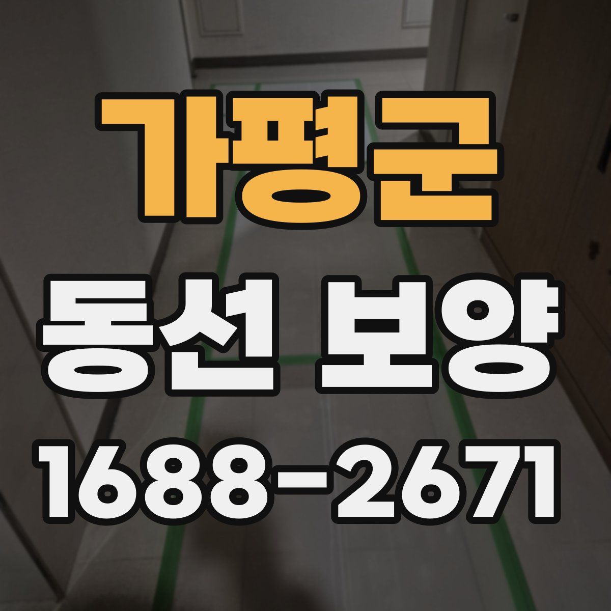 가평군 동선 보양
