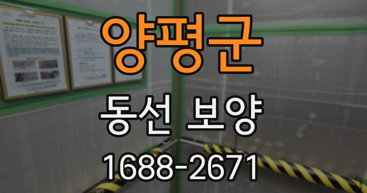 양평군 동선 보양