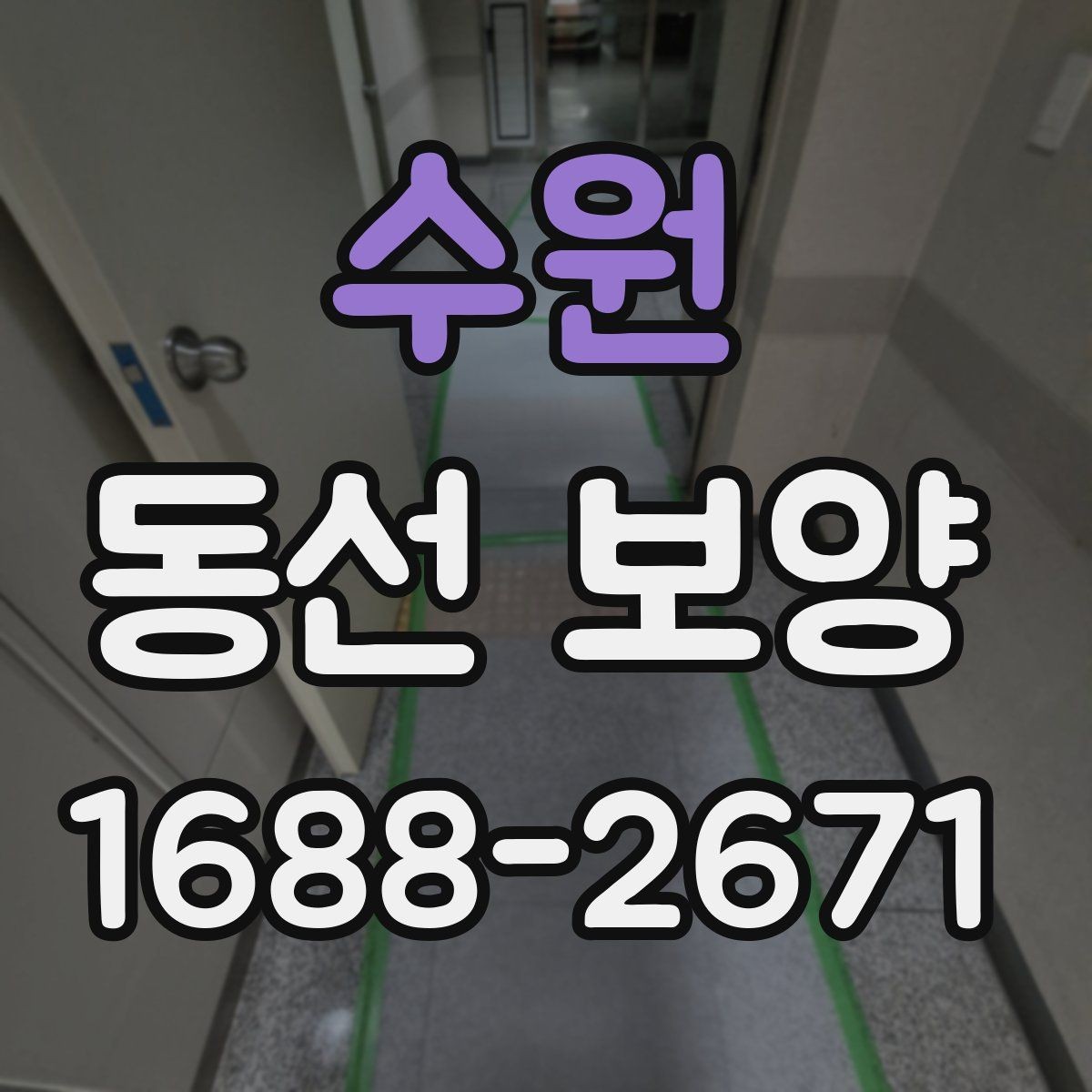 수원 동선 보양 현장에서 주의할 점 정리