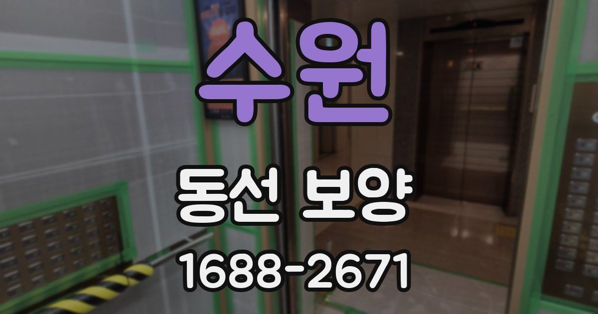 수원 동선 보양
