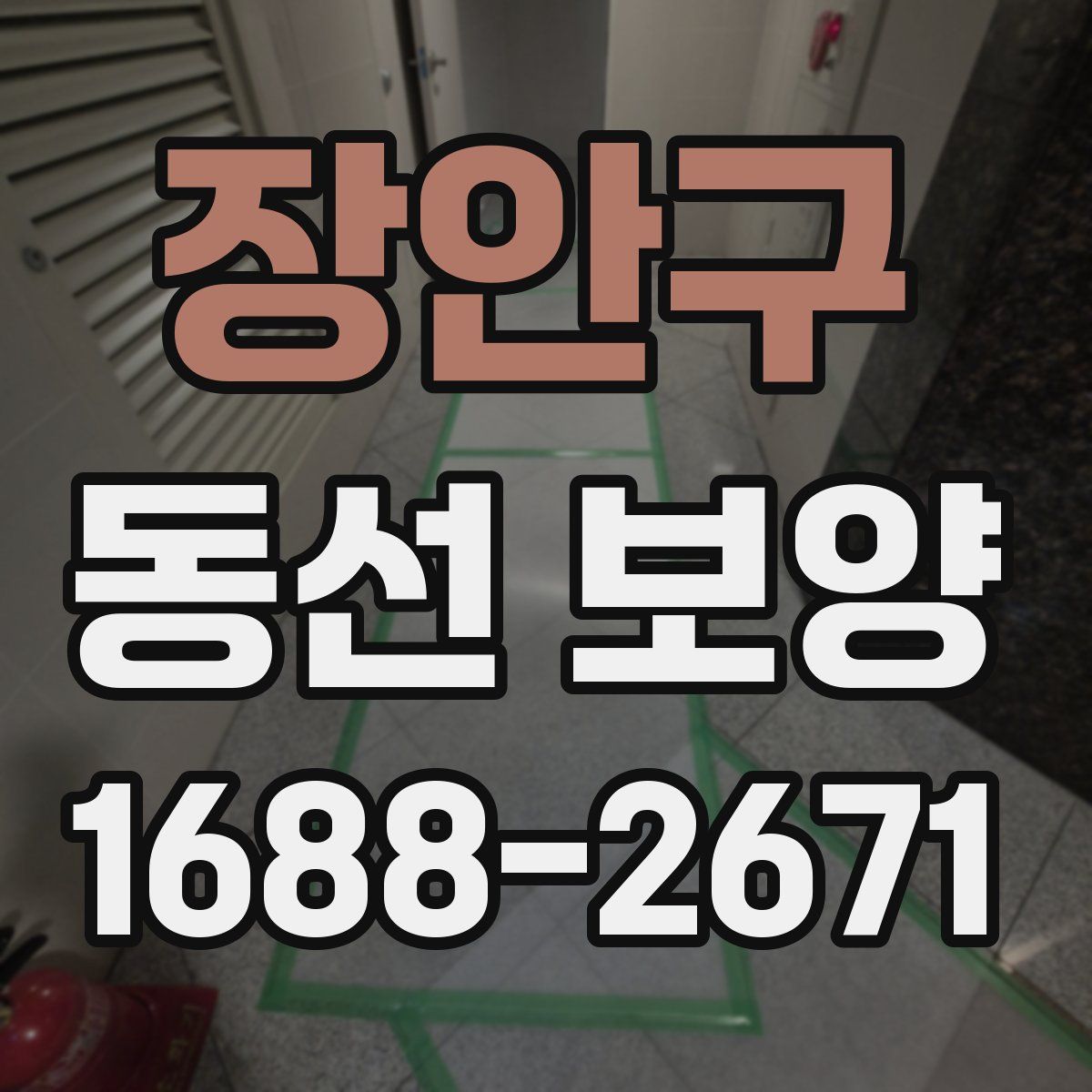 장안구 동선 보양