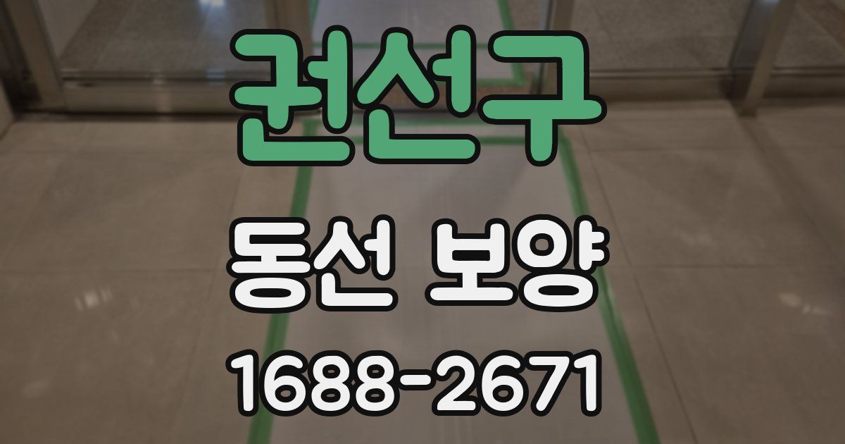 권선구 동선 보양