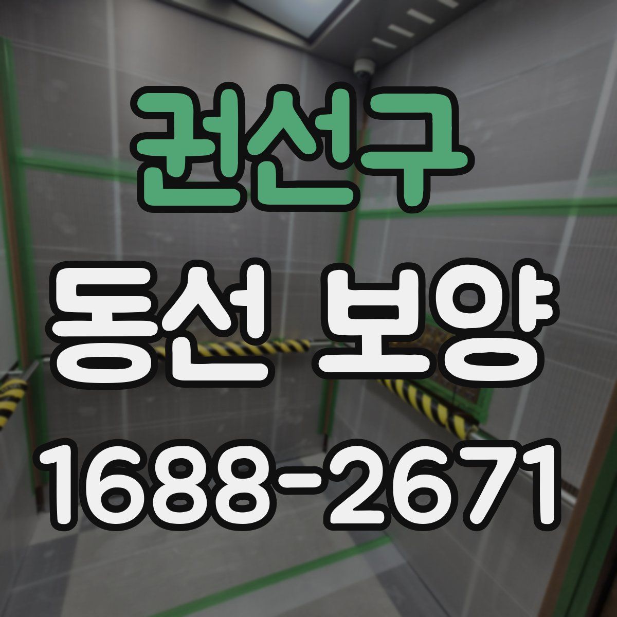 권선구 동선 보양