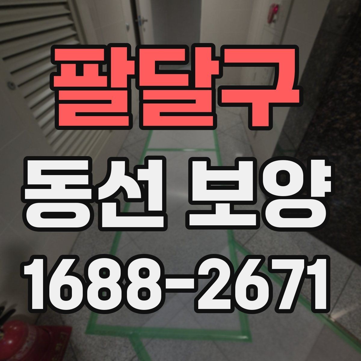 팔달구 동선 보양 진행 중 생길 수 있는 문제와 대응