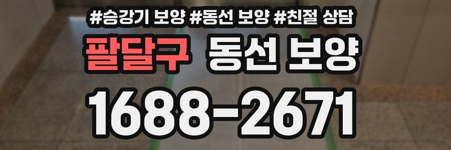 팔달구 동선 보양