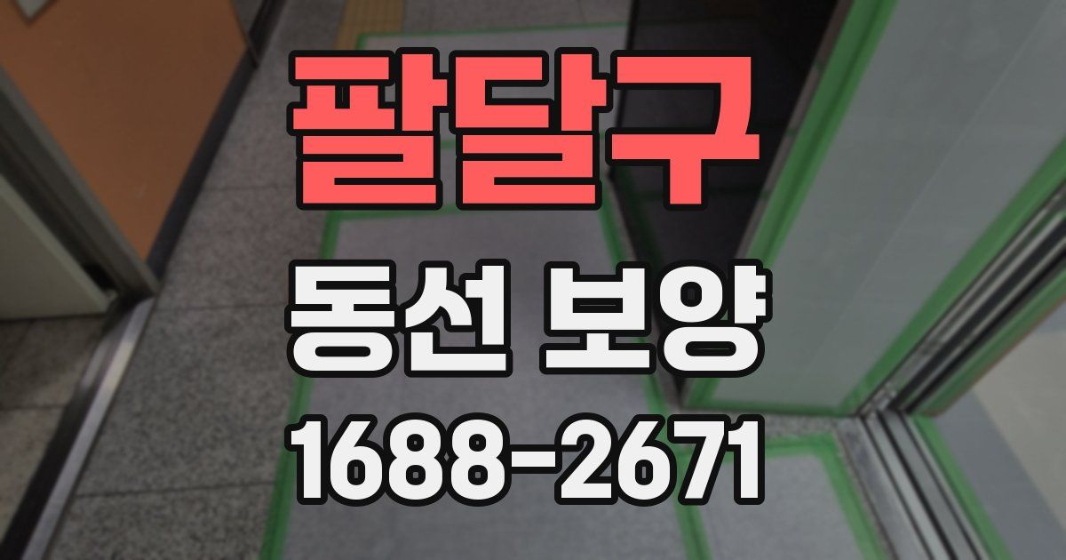 팔달구 동선 보양