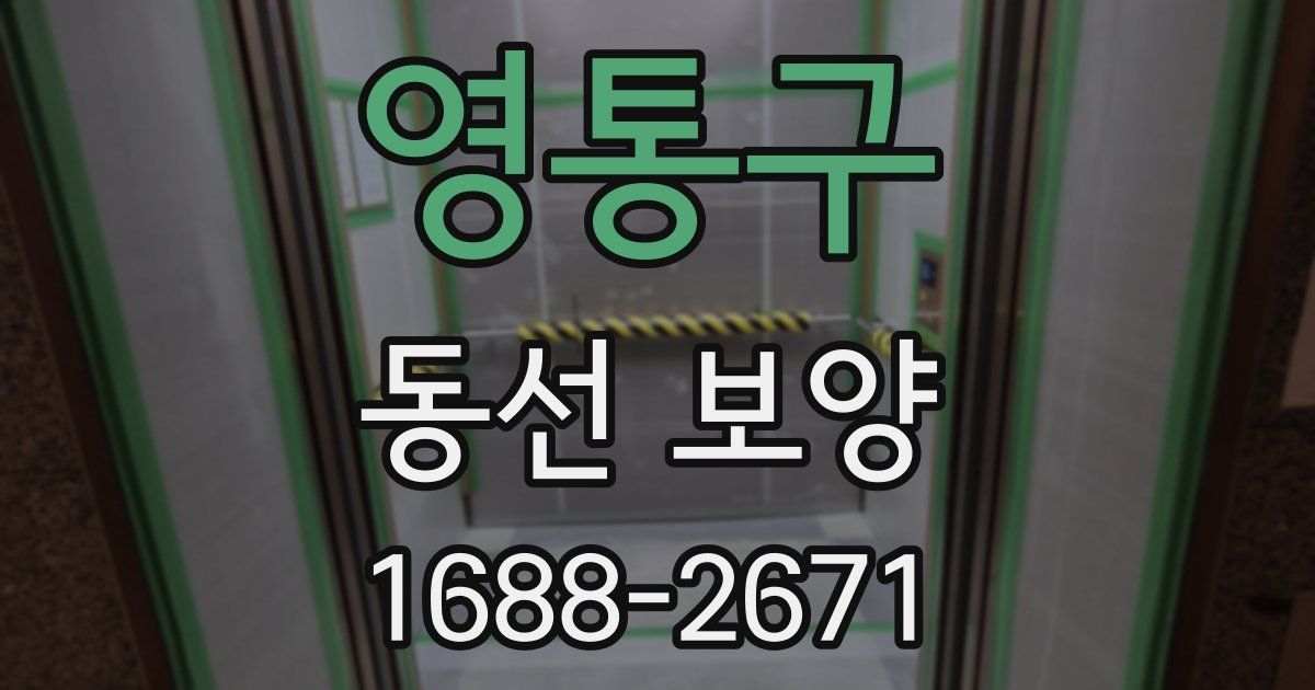 영통구 동선 보양