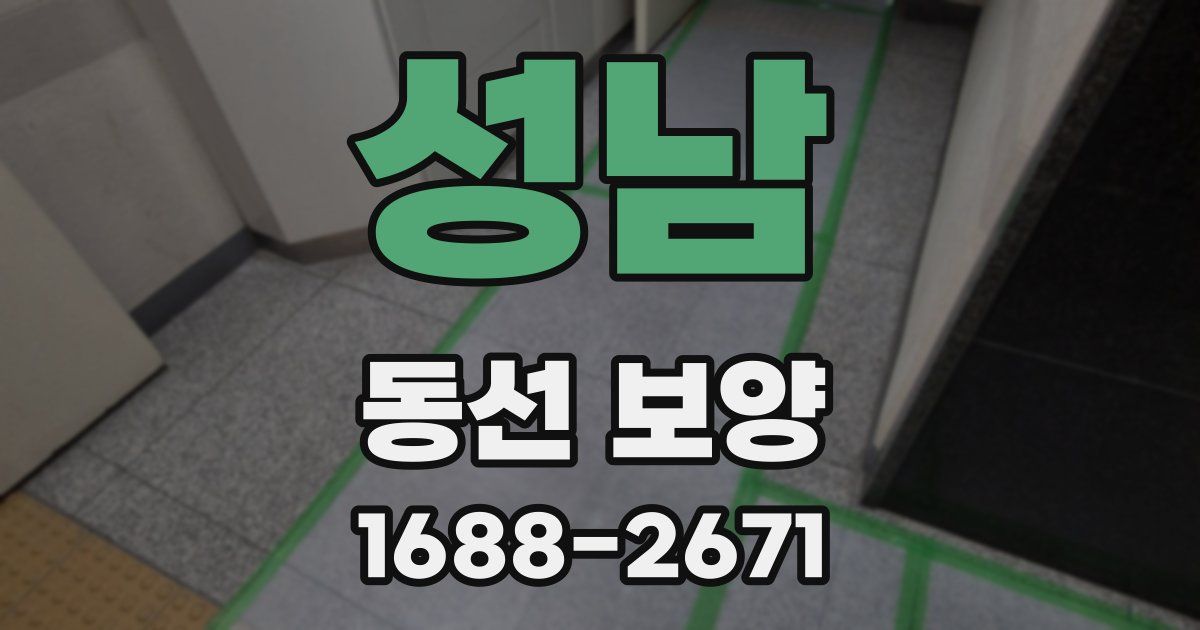 성남 동선 보양