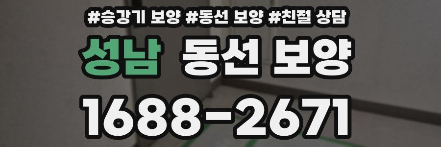 성남 동선 보양