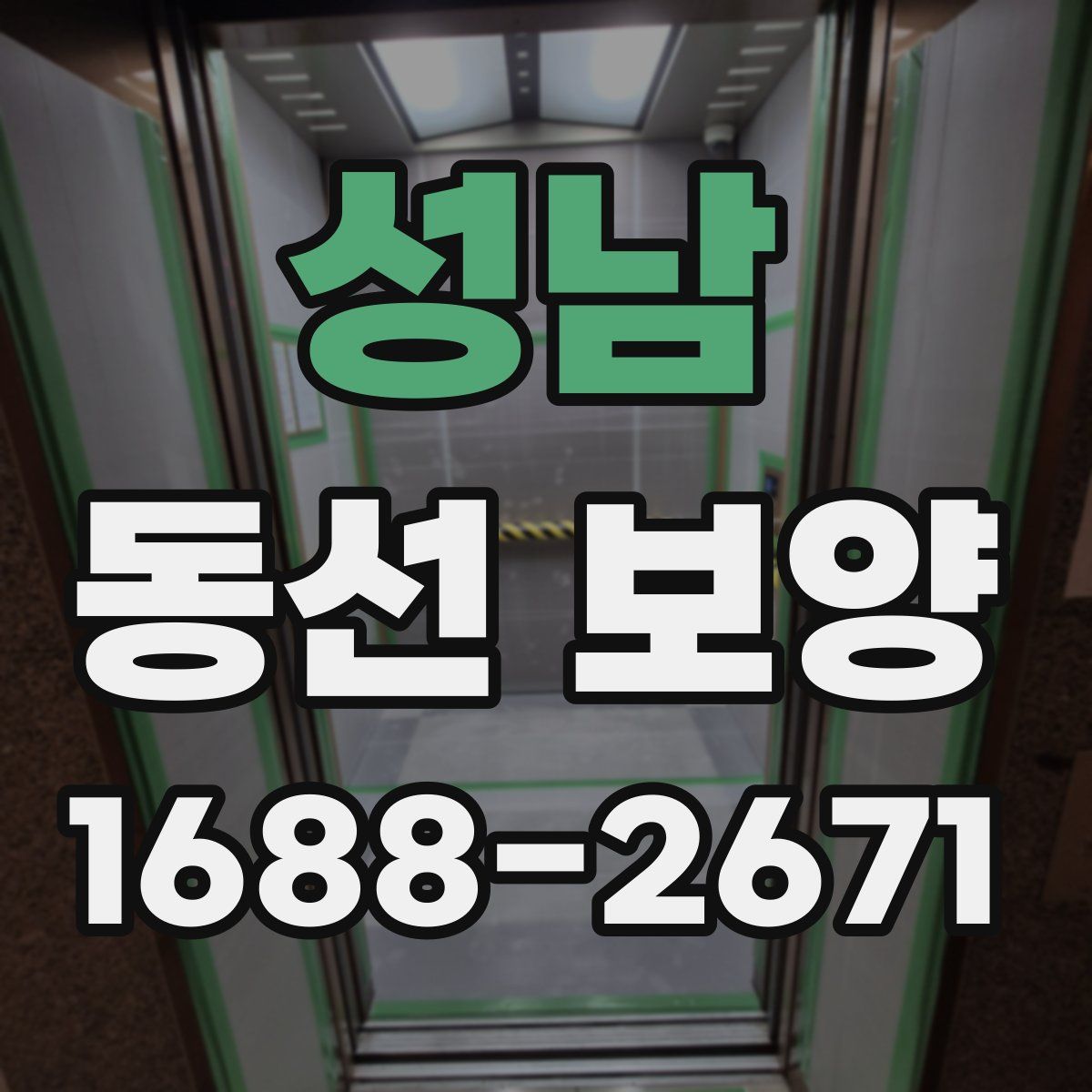 성남 동선 보양