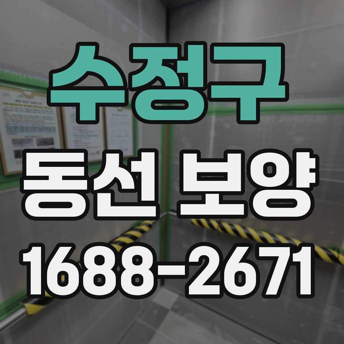 수정구 동선 보양 자재 판단 기준과 활용법