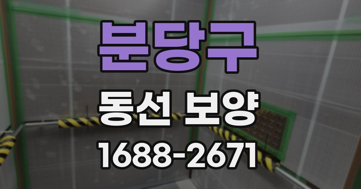 분당구 동선 보양