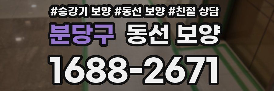 분당구 동선 보양