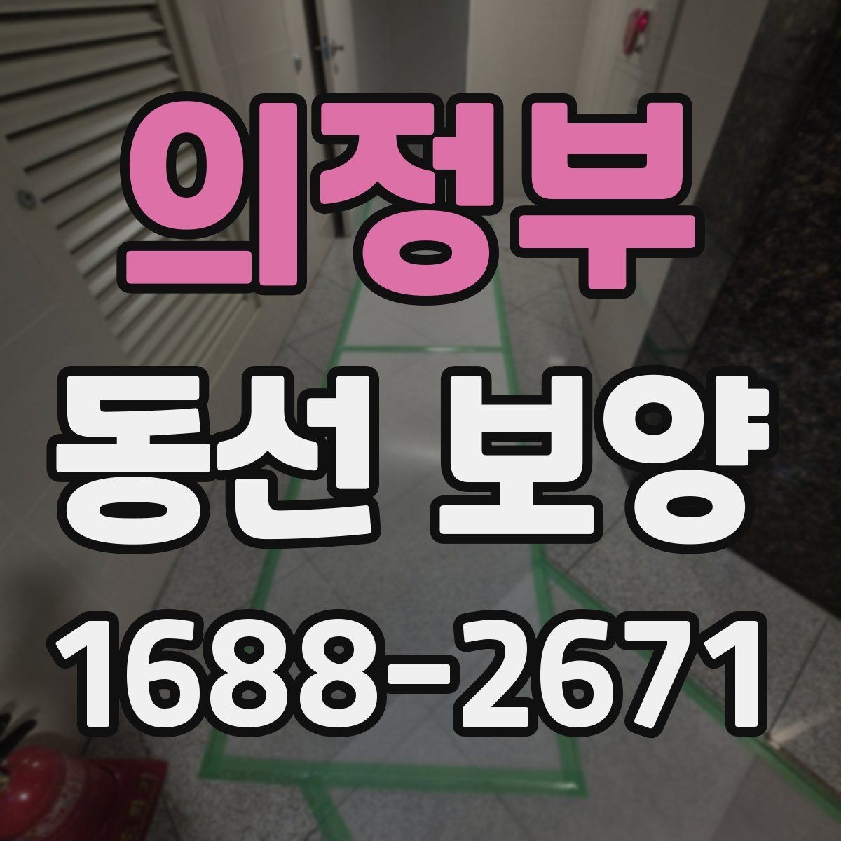 의정부 동선 보양 견적 비교할 때 살펴볼 포인트