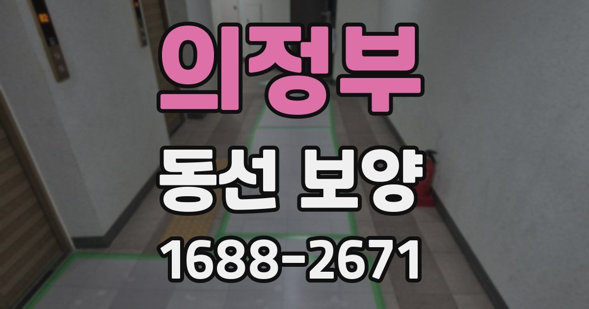 의정부 동선 보양