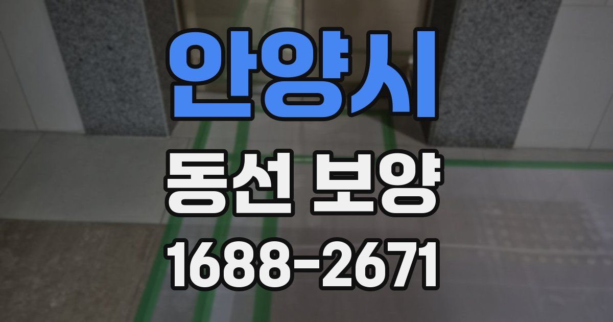 안양시 동선 보양