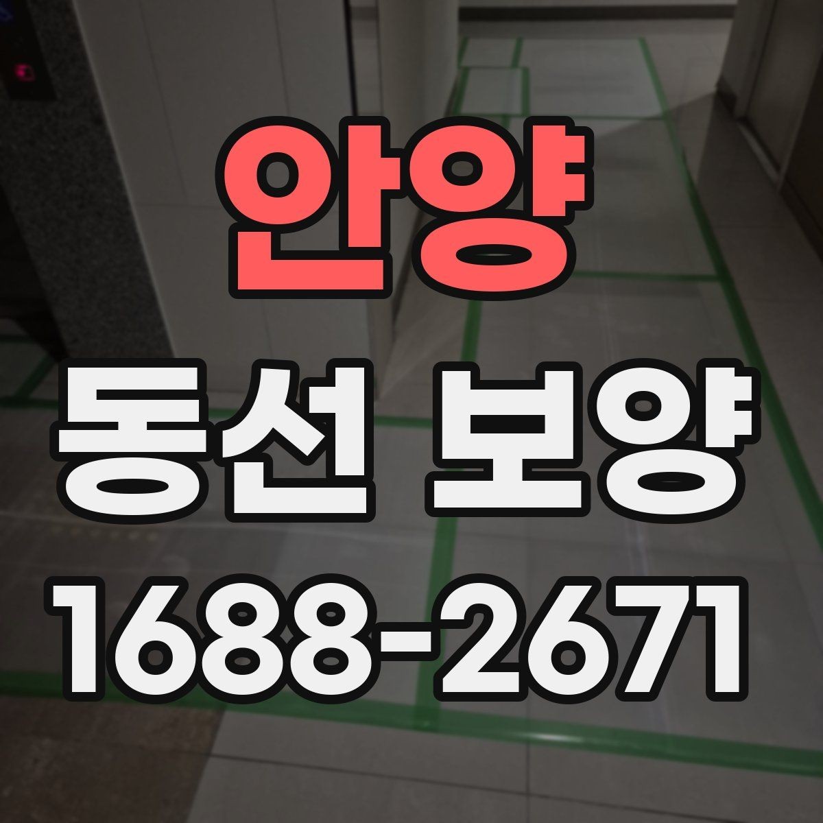 안양 동선 보양 시공 전후 관리 방법