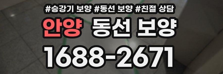 안양 동선 보양