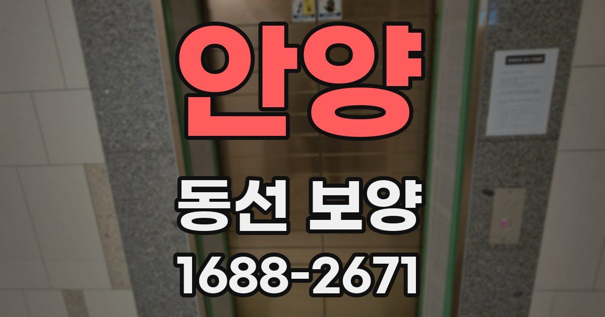 안양 동선 보양