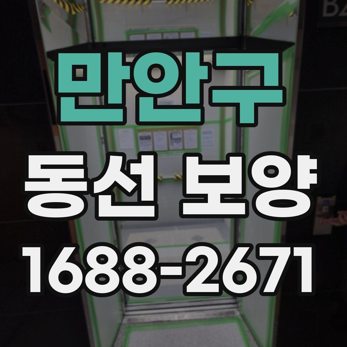 만안구 동선 보양 작업 후 관리 방법 안내