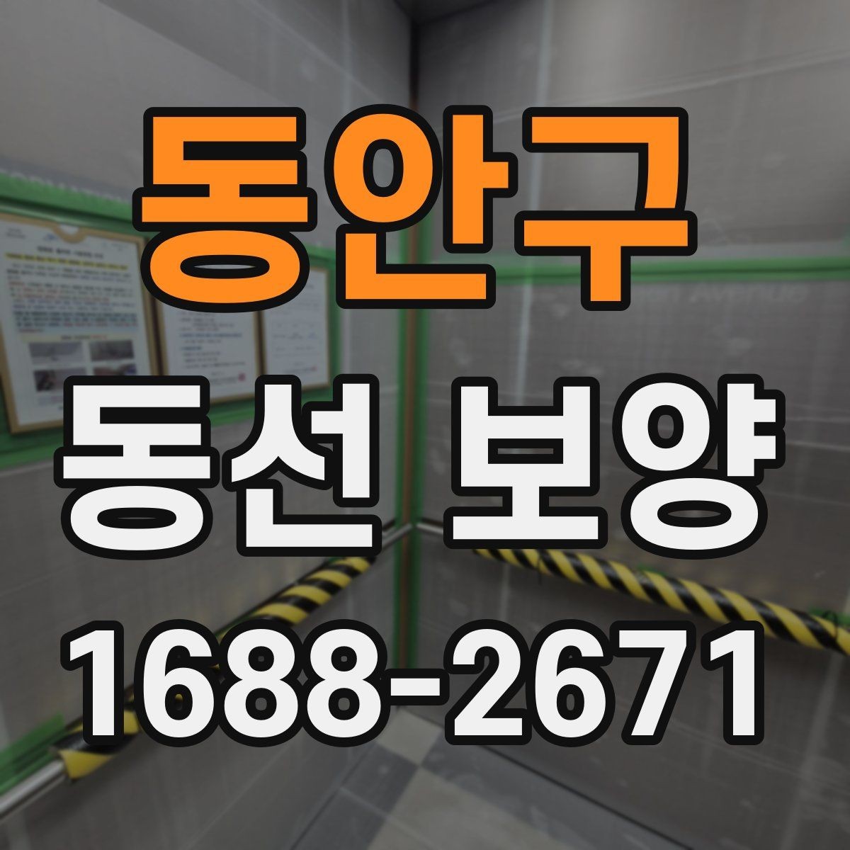 동안구 동선 보양 작업 전후 비교로 보는 변화