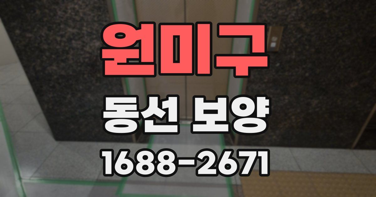 원미구 동선 보양