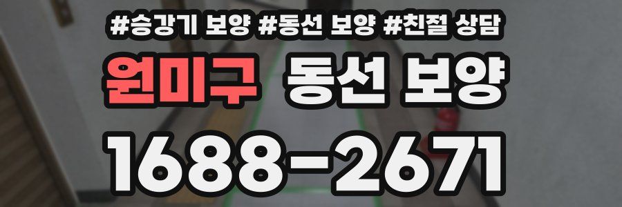 원미구 동선 보양