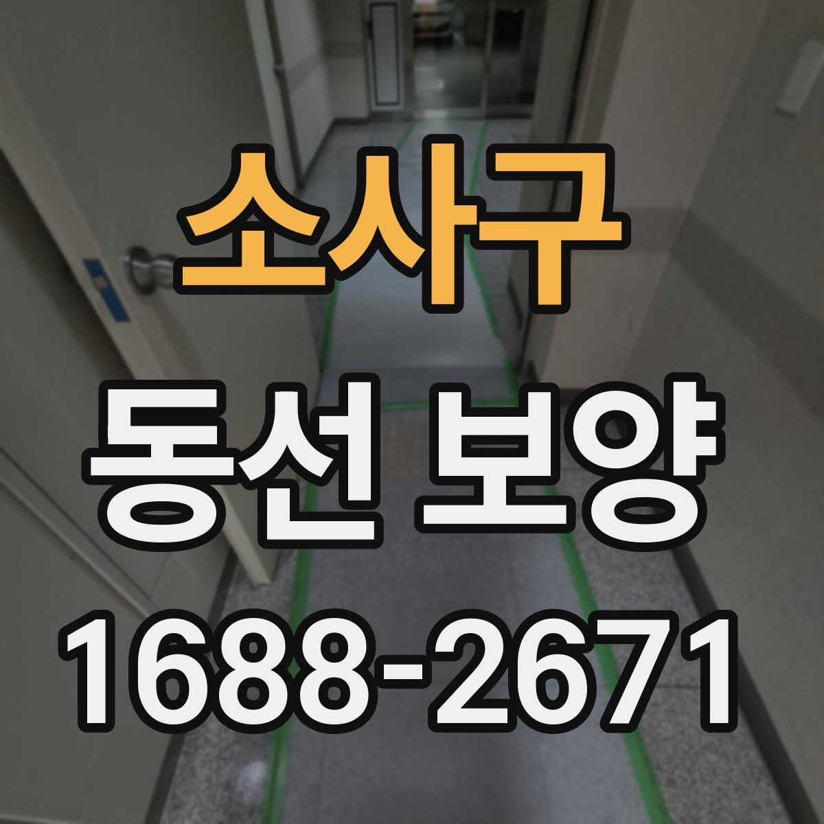 소사구 동선 보양