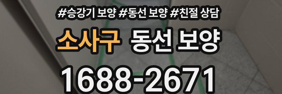 소사구 동선 보양