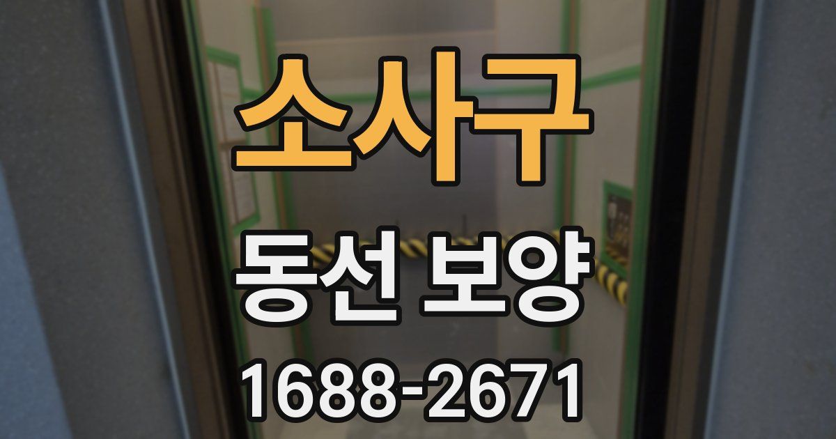 소사구 동선 보양