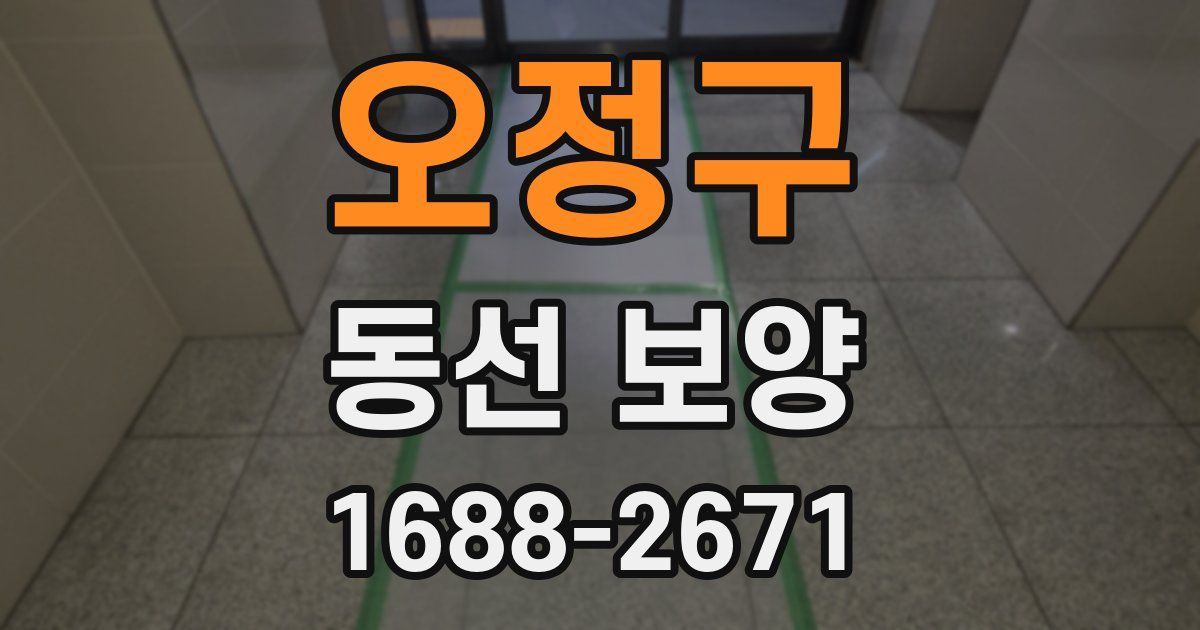 오정구 동선 보양