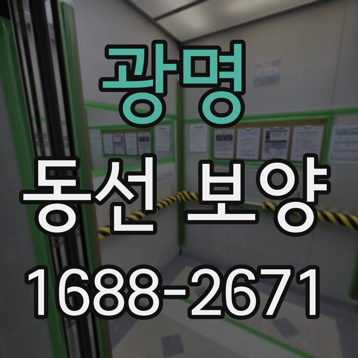 광명 동선 보양