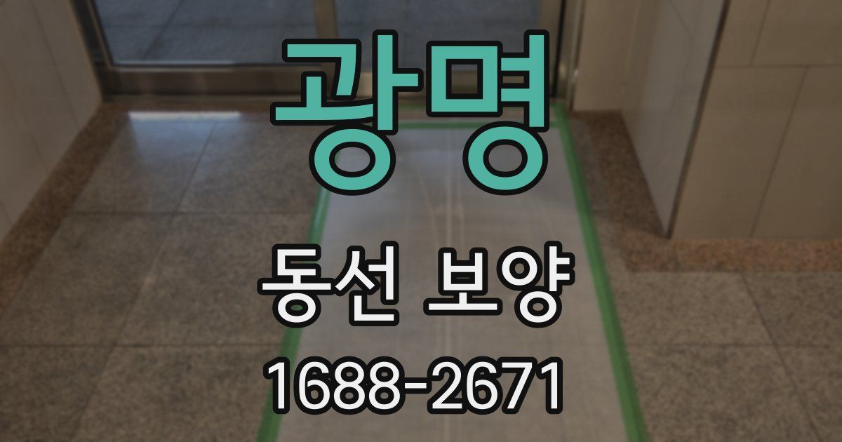 광명 동선 보양