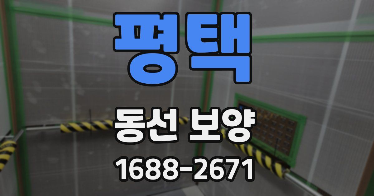 평택 동선 보양