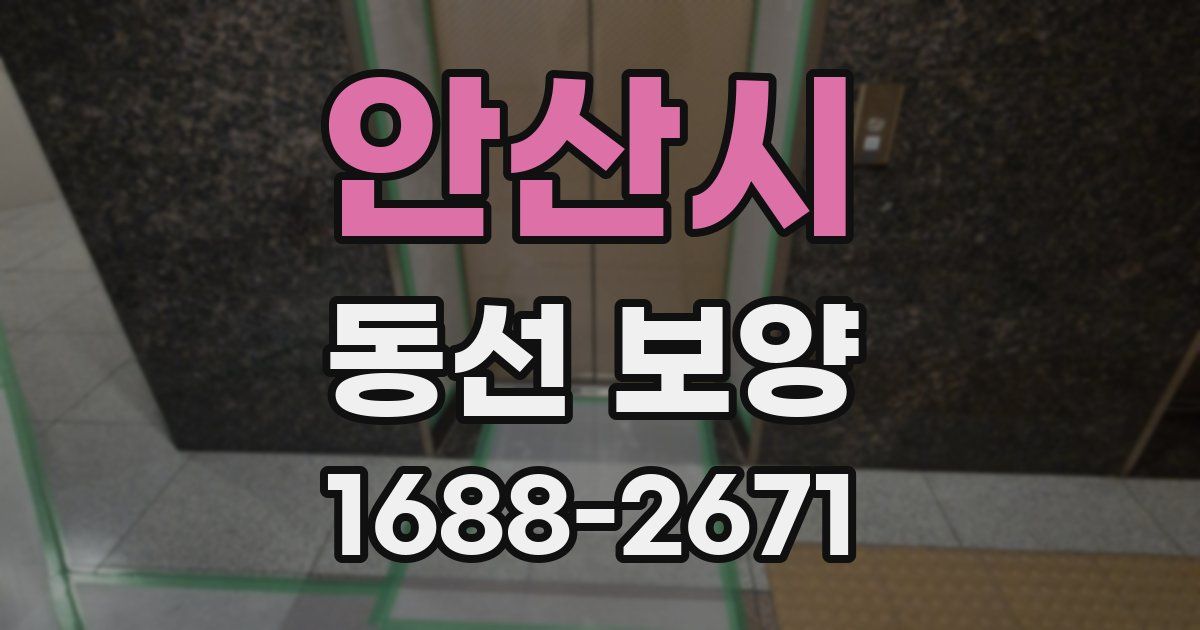 안산시 동선 보양