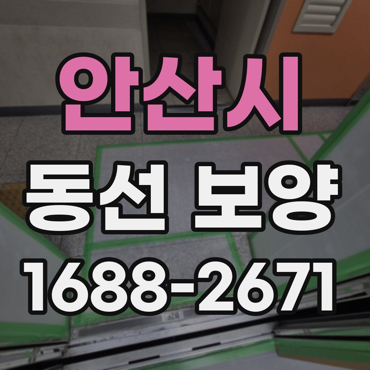 안산시 동선 보양