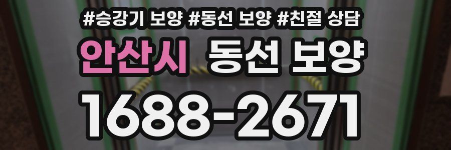 안산시 동선 보양