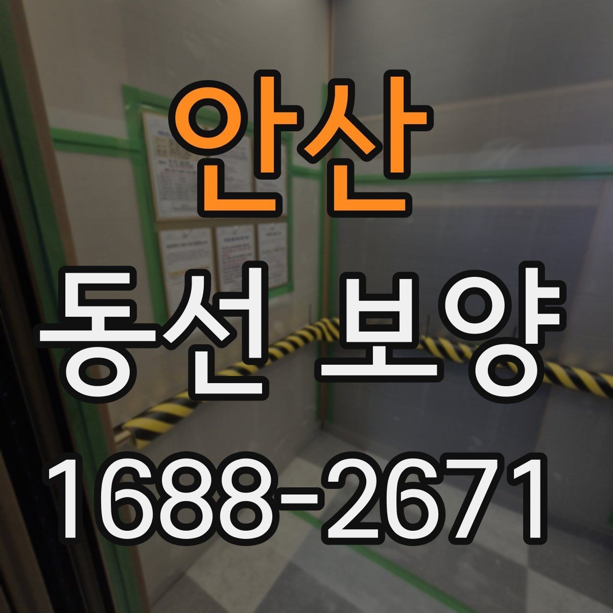안산 동선 보양 대상 구간을 정하는 기준