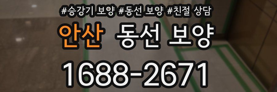 안산 동선 보양